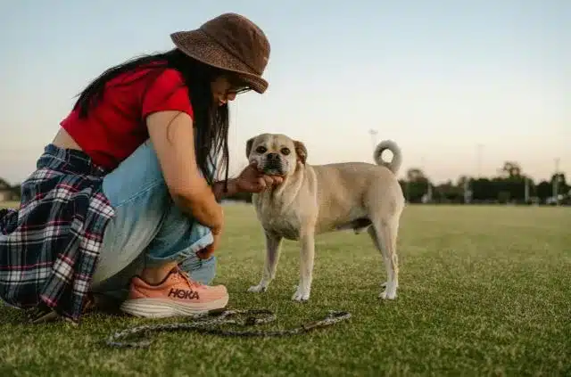 pets improve relationship